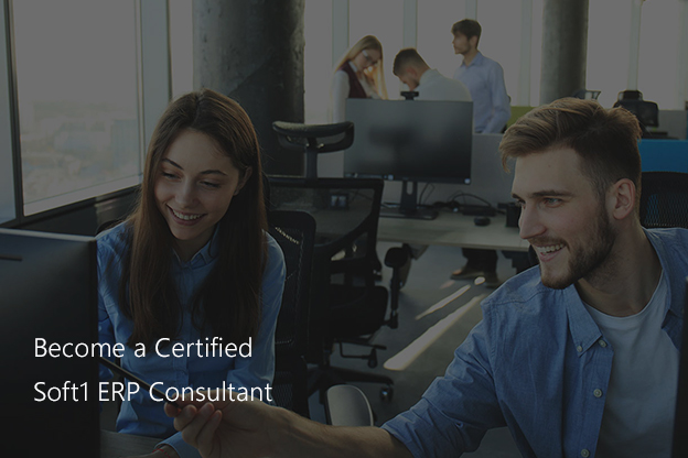ERP Consultant